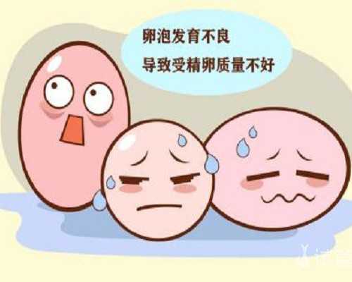 宜春月子中心地址一览，2026袁州区三家口碑好别错过