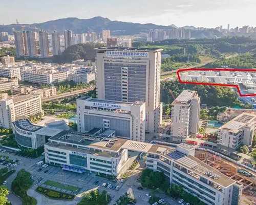 借卵子包男孩_代生包男孩, 在接种新冠疫苗第一针和第二针期间怀孕